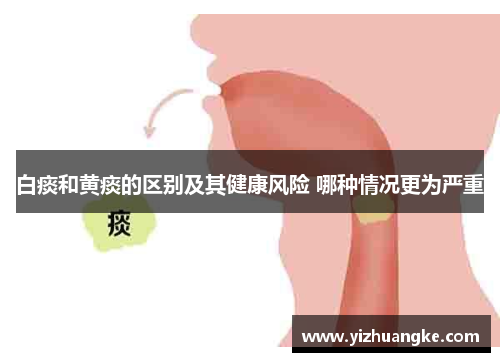 白痰和黄痰的区别及其健康风险 哪种情况更为严重