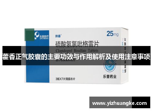 藿香正气胶囊的主要功效与作用解析及使用注意事项