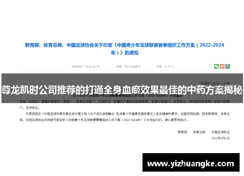 尊龙凯时公司推荐的打通全身血瘀效果最佳的中药方案揭秘