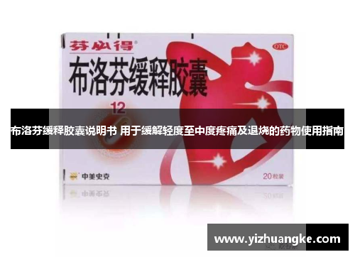 布洛芬缓释胶囊说明书 用于缓解轻度至中度疼痛及退烧的药物使用指南